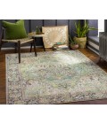 Livabliss Iris IRS-2361 26 x 76 Rug