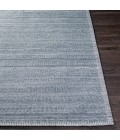 Surya Irvine IRV-2301 2  x 3  Rug