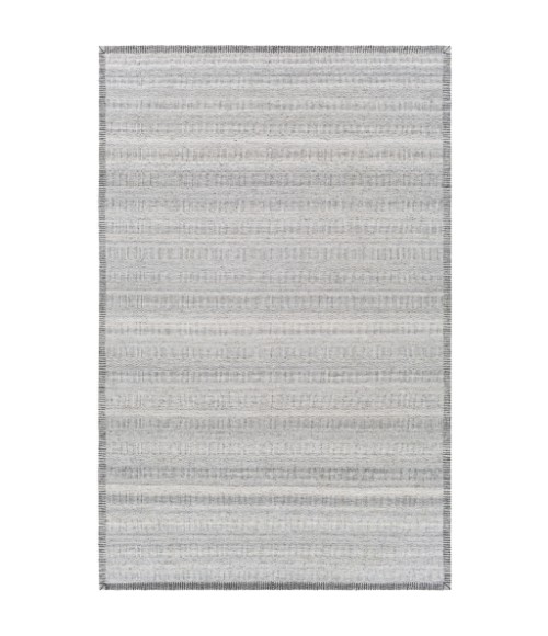 Surya Irvine IRV-2302 2  x 3  Rug
