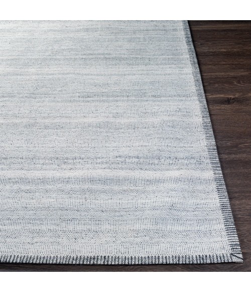 Surya Irvine IRV-2302 2  x 3  Rug