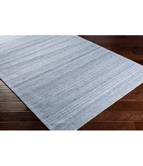 Surya Irvine IRV-2303 2  x 3  Rug