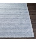 Surya Irvine IRV-2303 2  x 3  Rug