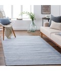 Surya Irvine IRV-2303 2  x 3  Rug