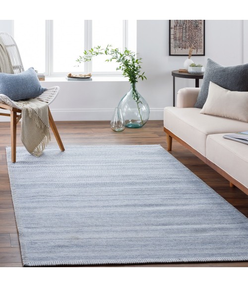 Surya Irvine IRV-2303 2  x 3  Rug
