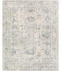 Surya Jordan JOR-2301 6  x 9  Rug