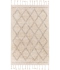 Surya Khemisset KMS-2304 2'6" x 4' Rug