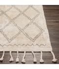 Surya Khemisset KMS-2304 2'6" x 4' Rug