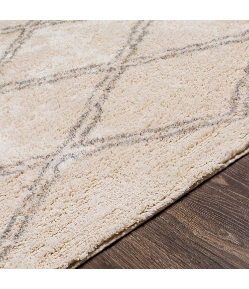 Surya Khemisset KMS-2304 2'6" x 4' Rug