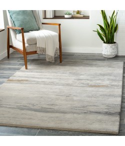 Surya Kavita KVT2303 Light Gray Ivory Area Rug 2 ft. X 3 ft. Rectangle