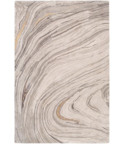 Surya Kavita KVT2304 Light Gray Ivory Area Rug 5 ft. X 7 ft. 6 in. Rectangle