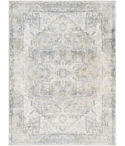 Livabliss Lillian LLL2301 Light Grey Taupe Area Rug 5 ft. 3 in. X 7 ft. Rectangle