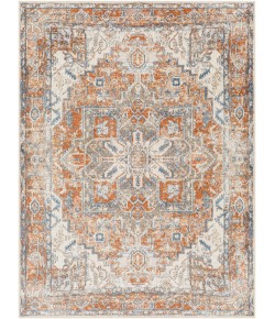 Livabliss Lillian LLL2302 Taupe Light Grey Area Rug 5 ft. 3 in. X 7 ft. Rectangle