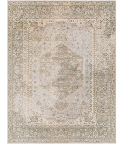 Livabliss Lillian LLL2308 Taupe Light Grey Area Rug 5 ft. 3 in. X 7 ft. Rectangle