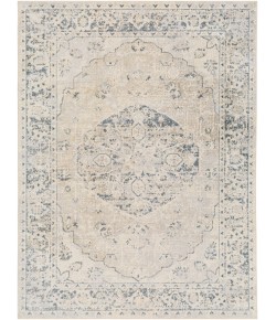 Livabliss Lillian LLL2310 Light Grey Taupe Area Rug 5 ft. 3 in. X 7 ft. Rectangle