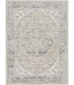 Livabliss Lillian LLL2311 Taupe Light Grey Area Rug 5 ft. 3 in. X 7 ft. Rectangle