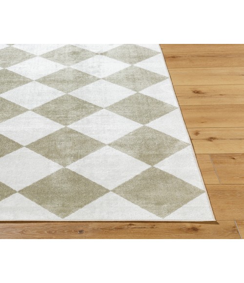 Lillian LLL-2374 27" x 73" Machine Woven Rug