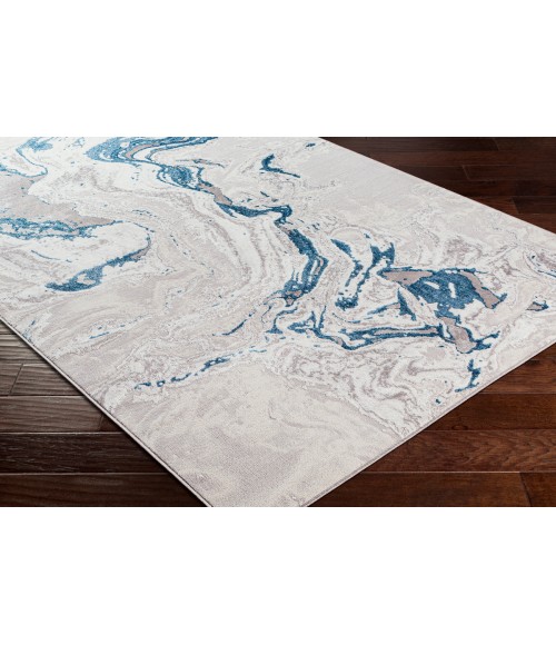 Livabliss Lustro LSR-2303 9  x 12  Rug