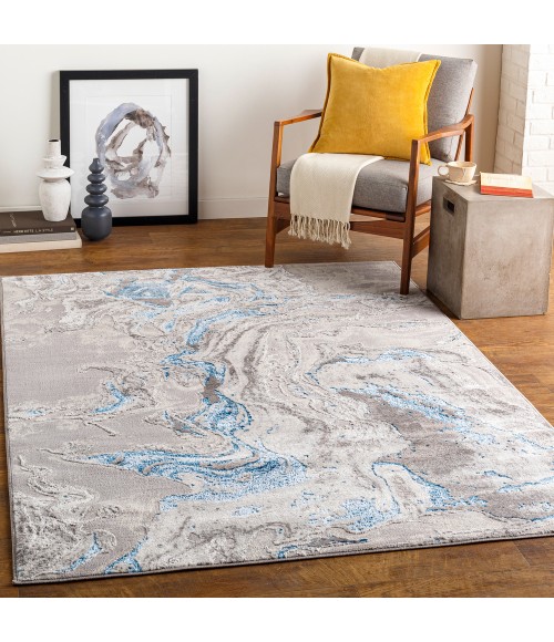 Livabliss Lustro LSR-2303 9  x 12  Rug