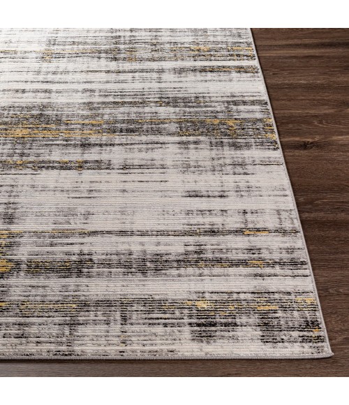 Surya Lustro LSR-2314 5 2 x 7  Rug