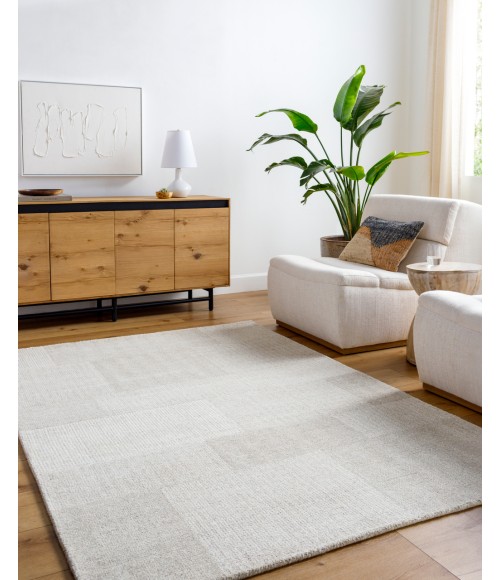 Las Palmas LSS-2301 2' x 3' Handmade Rug