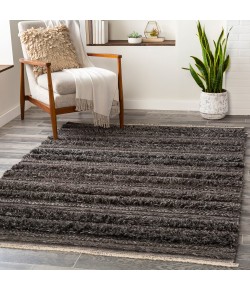 Surya Lugano LUG2301 Charcoal Black Area Rug 2 ft. X 3 ft. Rectangle