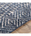 LIVORNO RUG Surya Livorno LVN-2304 Area Rug