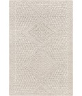 Surya Livorno LVN-2306 2' x 3' Rug