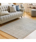 Surya Livorno LVN-2306 2'6" x 8' Rug