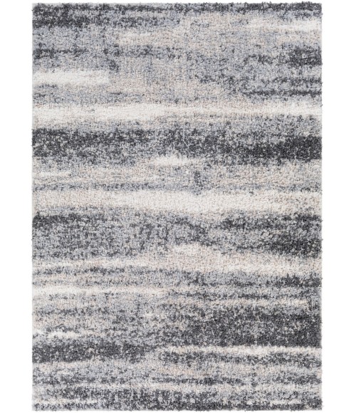 Surya Lyra Shag LYR-2302 2' x 3' Rug
