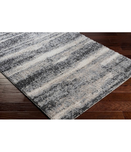 Surya Lyra Shag LYR-2302 2' x 3' Rug