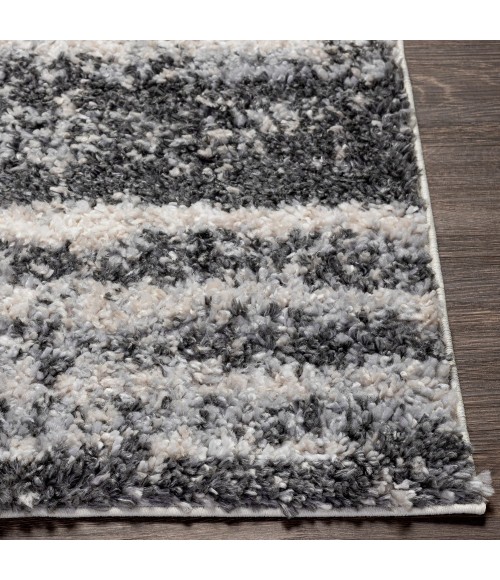 Surya Lyra Shag LYR-2302 2' x 3' Rug