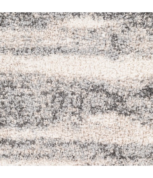 Surya Lyra Shag LYR-2302 2' x 3' Rug