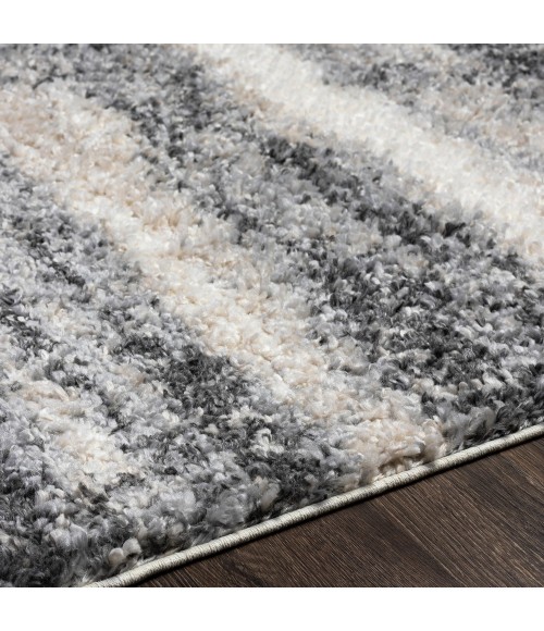 Surya Lyra Shag LYR-2302 2' x 3' Rug