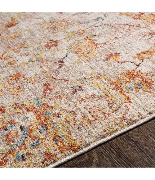 Livabliss Mirabel MBE-2315 10 x 14 Rug