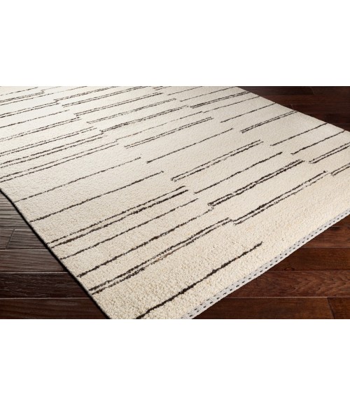 Surya Machu Picchu MCU-1005 8  x 10  Rug