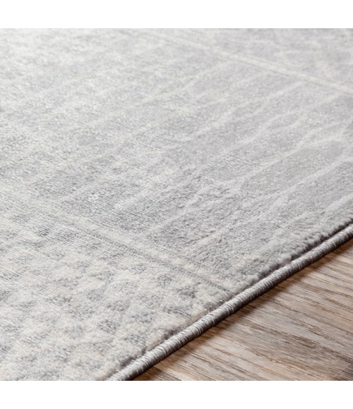 Livabliss Monaco MOC-2304 Area Rug
