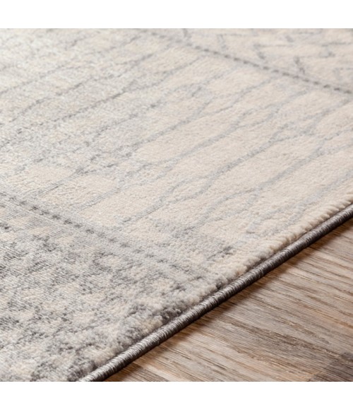Livabliss Monaco MOC-2306 Area Rug