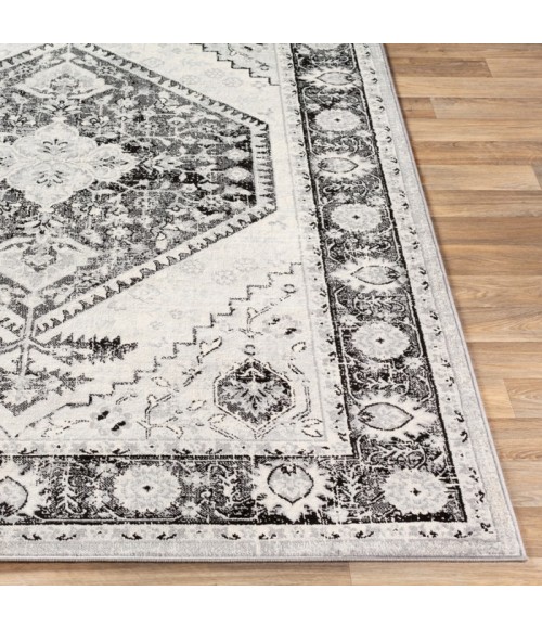 Surya Monaco MOC-2329 Area Rug