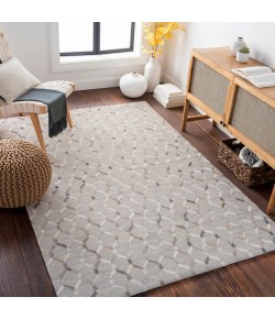Surya Medora MOD1010 Medium Gray Cream Area Rug 5 ft. X 7 ft. 6 in. Rectangle