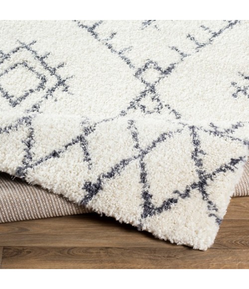 Surya Maroc Shag MRS-2303 Area Rug