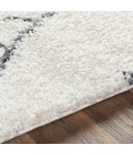 Surya Maroc Shag MRS-2303 Area Rug