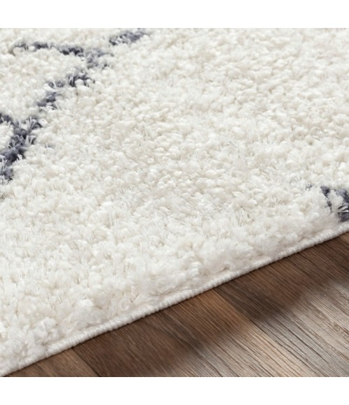 Surya Maroc Shag MRS-2303 Area Rug