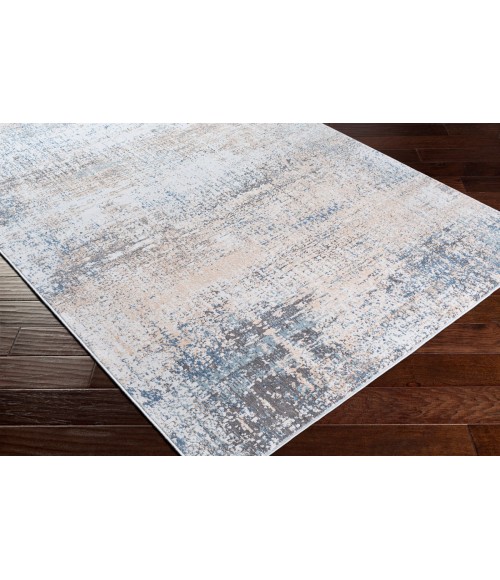 Surya Maxwell MWL-2302 2  x 3  Rug