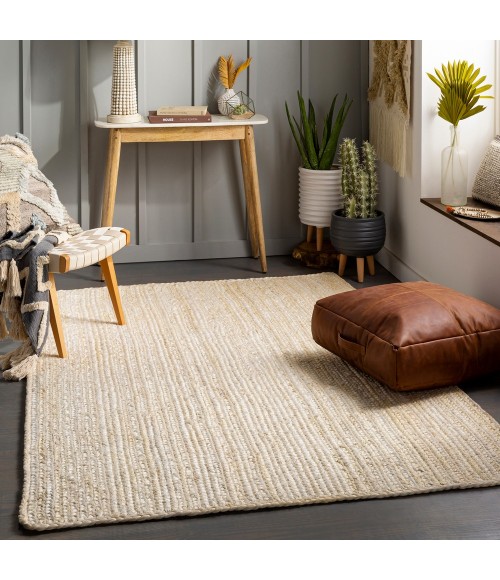 Livabliss Natural Braids NBD-2301 2 x 3 Rug