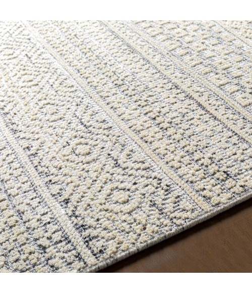 Surya Nobility NBI-2310 6  x 9  Rug