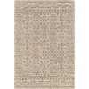 Livabliss Newcastle NCS2309 Taupe Cream Area Rug 5 ft. X 7 ft. 6 in. Rectangle