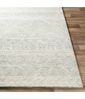NEWCASTLE RUG Livabliss Newcastle NCS-2312 Area Rug