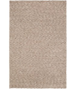 Surya Neravan NER1002 Taupe Cream Area Rug 2 ft. X 3 ft. Rectangle