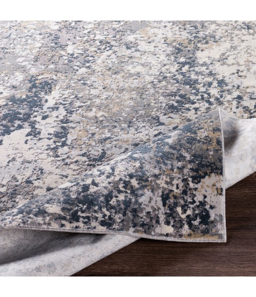 Surya Norland NLD-2306 10  x 14  Rug