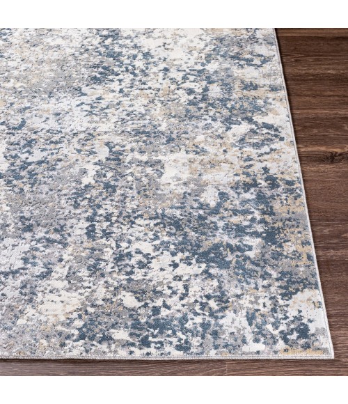 Surya Norland NLD-2306 10  x 14  Rug